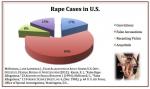Rapes USA