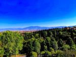 A View from my Suite Balcony
