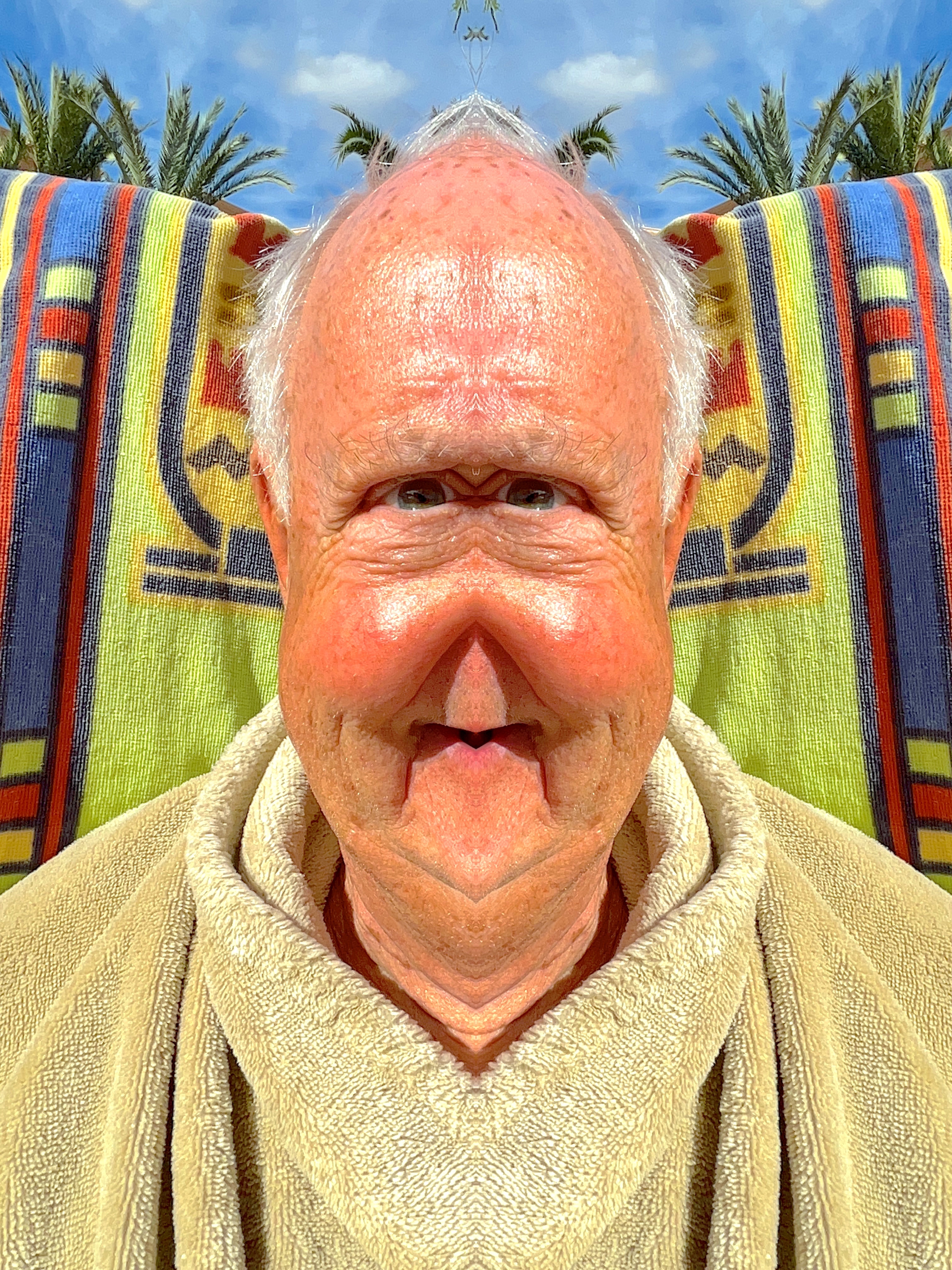 A burned by the sun King