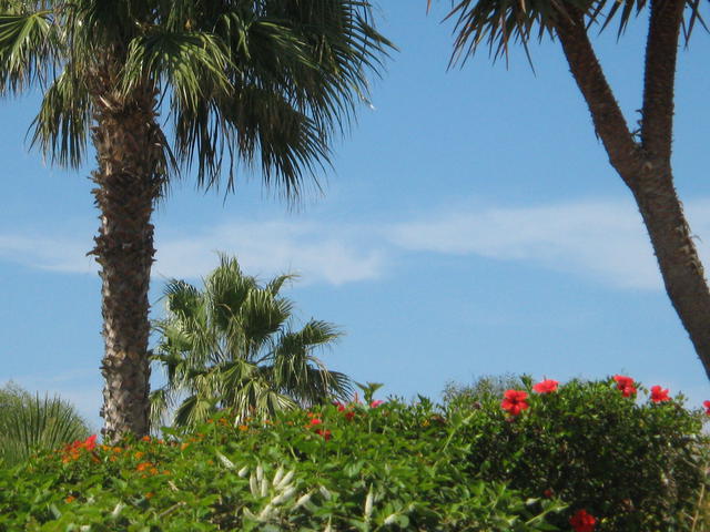Mother Nature