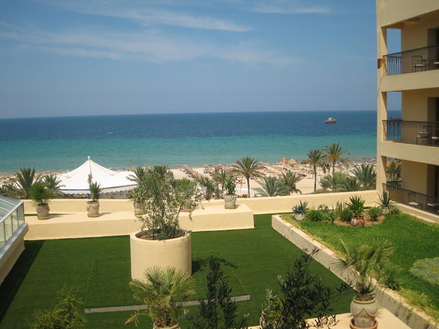 My morning view