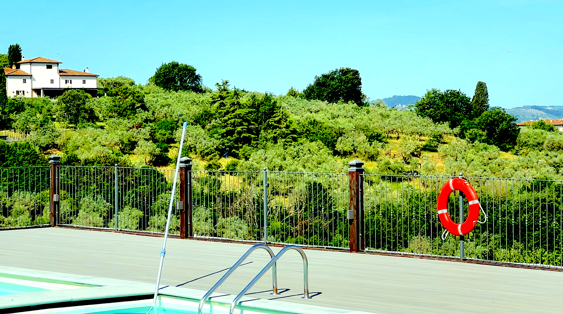 The View from the Pool