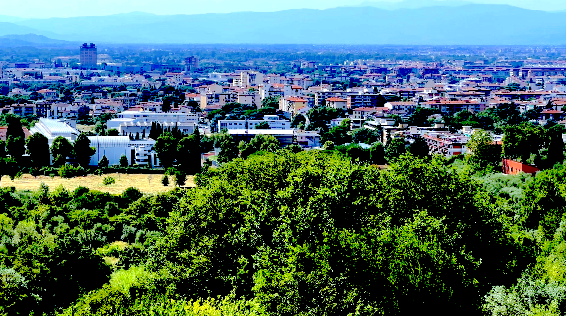 Florence