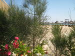 The beach at Sousse