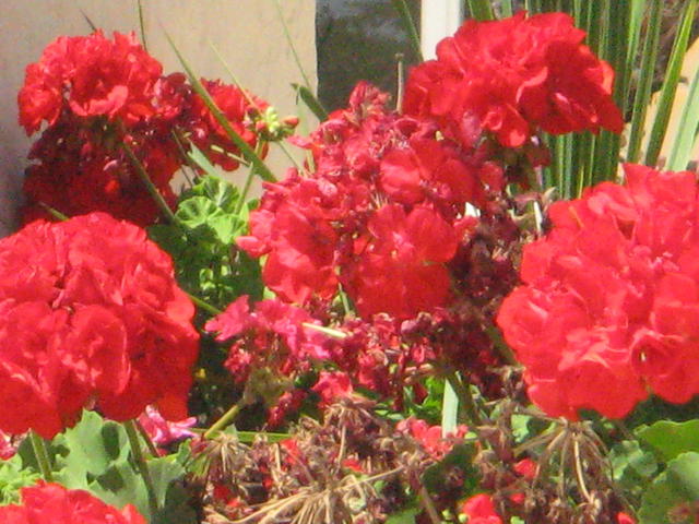 Check out the colours!