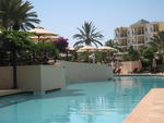 The View from my lounger