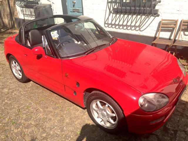 Baby Car enjoys the sun