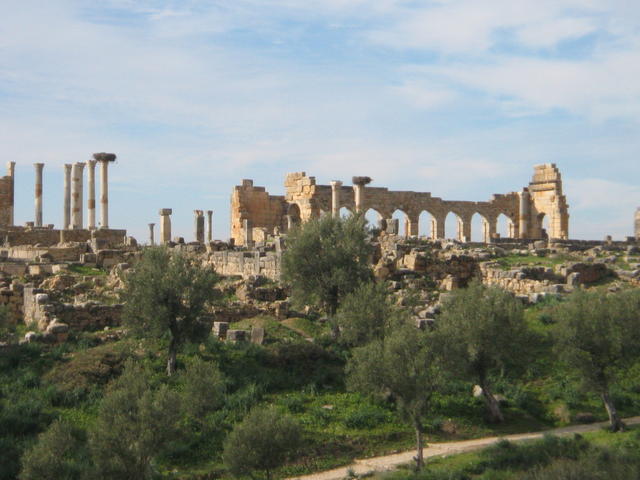 Volubilis 2008