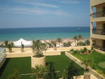 My morning view