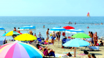 The colours of the beach