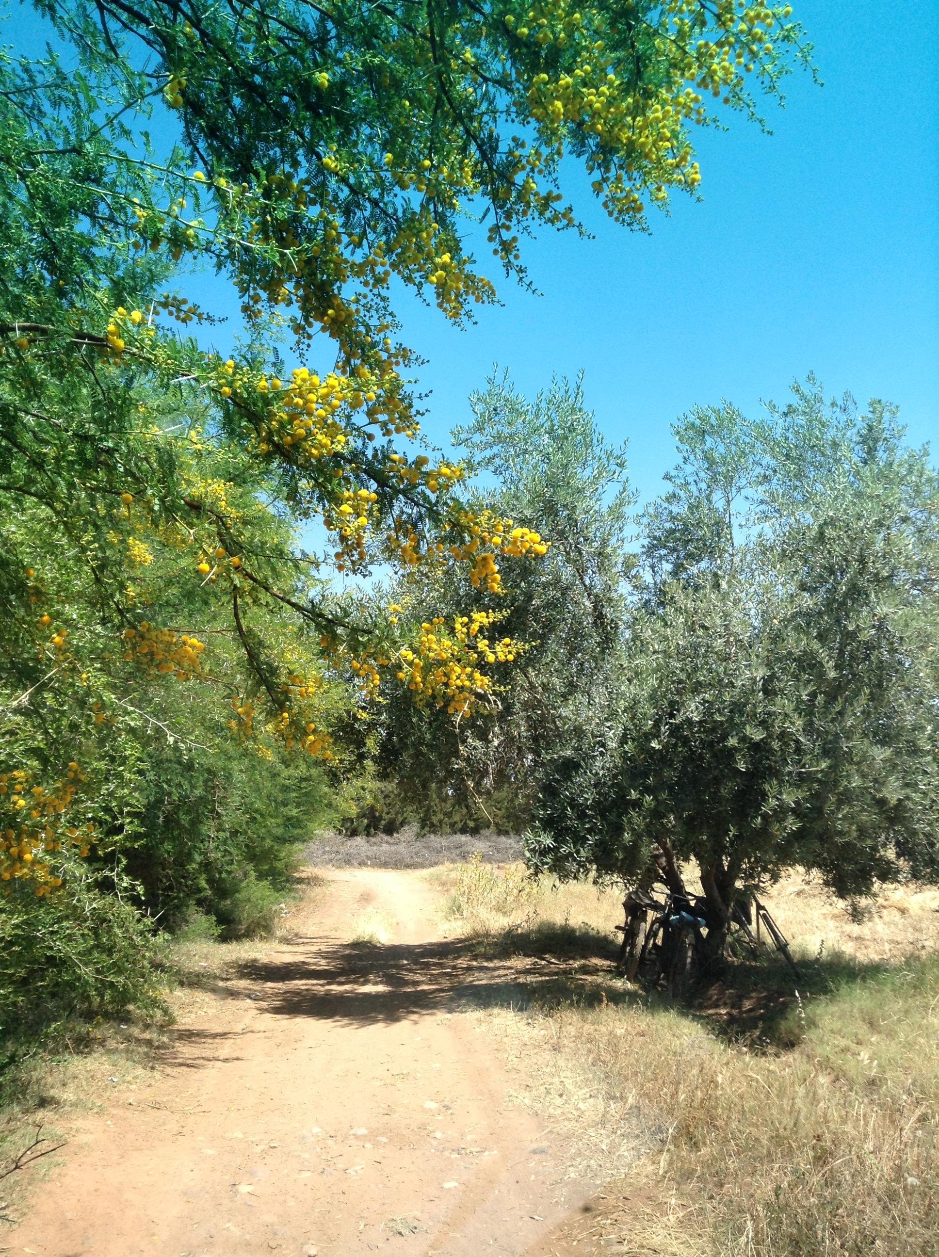 A main road in Morocco