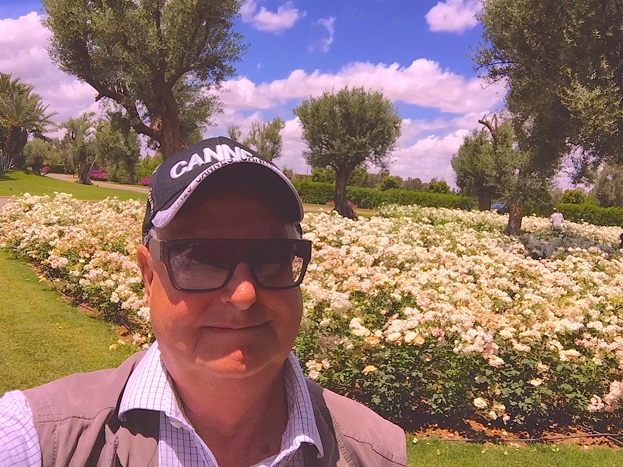 A field of white roses