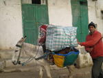 Transport Morocco 2008