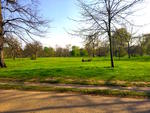 April in Hyde Park